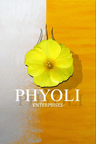 Phyoli Nursing Services